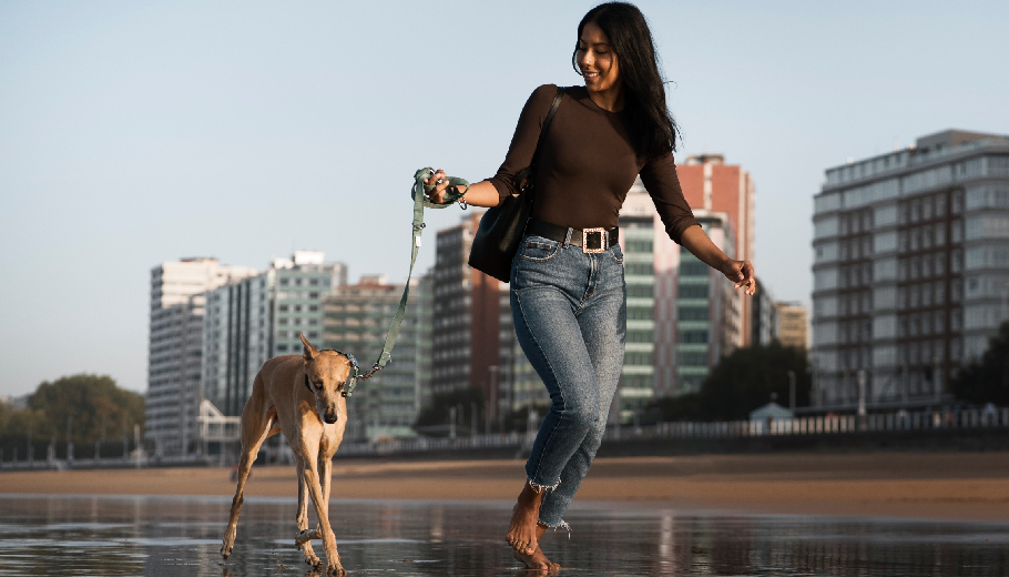Why Every Gurgaon High-Rise Needs a Professional Dog Walker for Safe Dog Walking Services