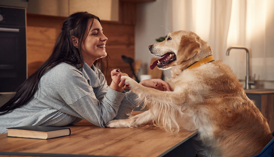 The Benefits of Pet Sitting and Personalized In-Home Pet Care Over Traditional Boarding