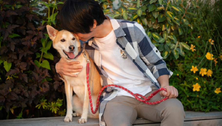 Seasonal Pet Care Gurgaon Tips Protecting Your Dog During Harsh Summers and Winters