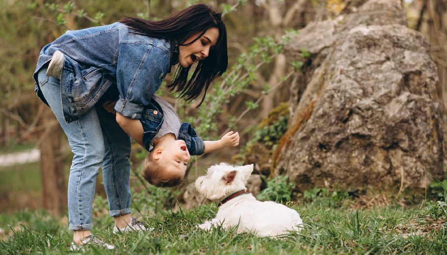 Empowered parenting why pet care training for owners is the secret to a happy home