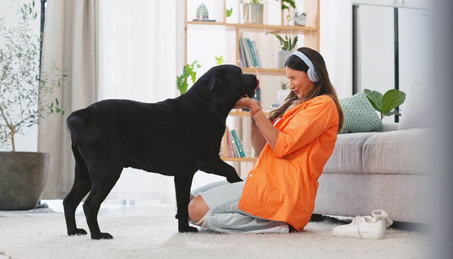 Travel with peace of mind choosing a trusted pet sitter for your next vacation