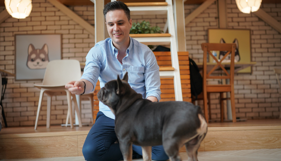 The first-timer’s checklist: pre-boarding trials and how to prepare your pampered pet for their first night away