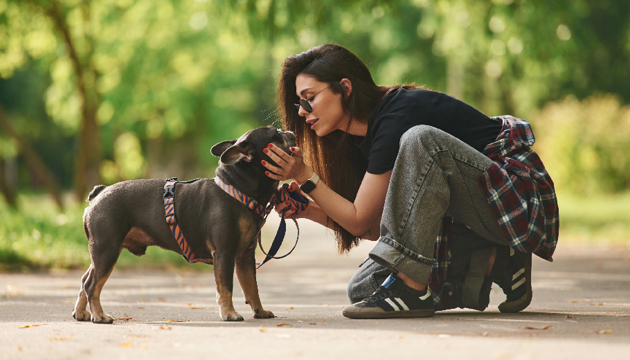 Dog boarding with free movement why open space environments promote canine wellness