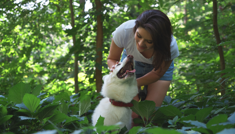 The ethical traveler’s guide: ensuring your boarding facility supports local animal welfare and sustainability