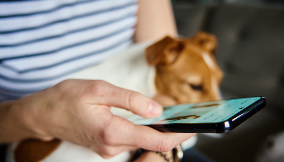 The guilt-free getaway overcoming pet parent separation anxiety with real-time boarding tech